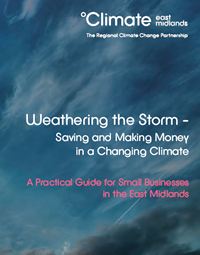 Climate Change Business Guide