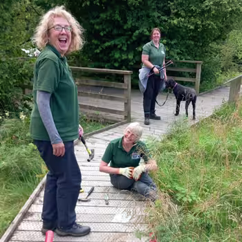 Photo of a Bird in a tree