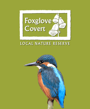 Foxglove Covert LNR