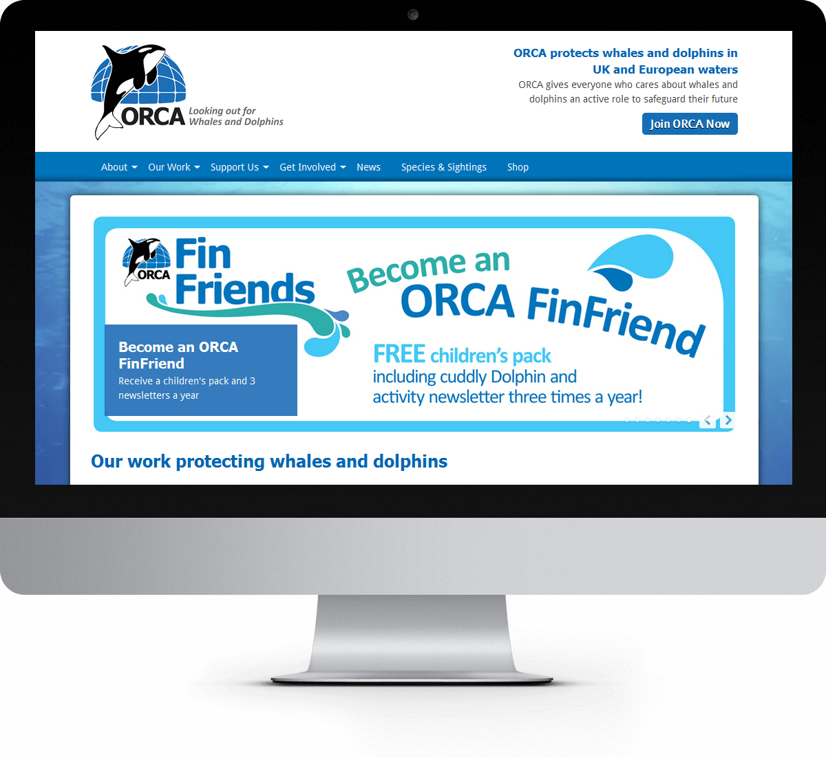 ORCA - Protecting Whales and Dolphins website